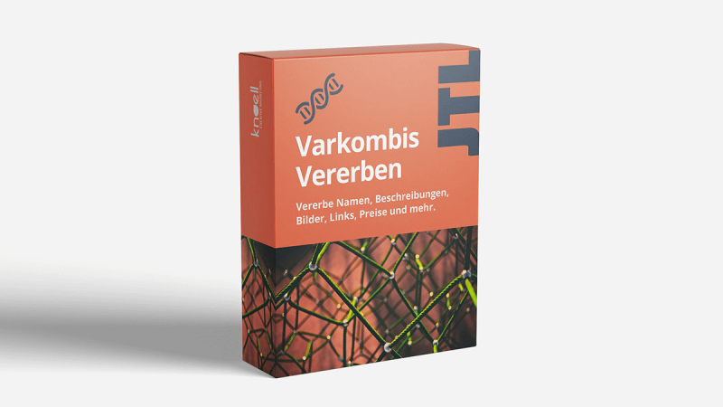 Varkombis Vererben